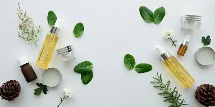 Kräuter für Naturkosmetik und Wellness