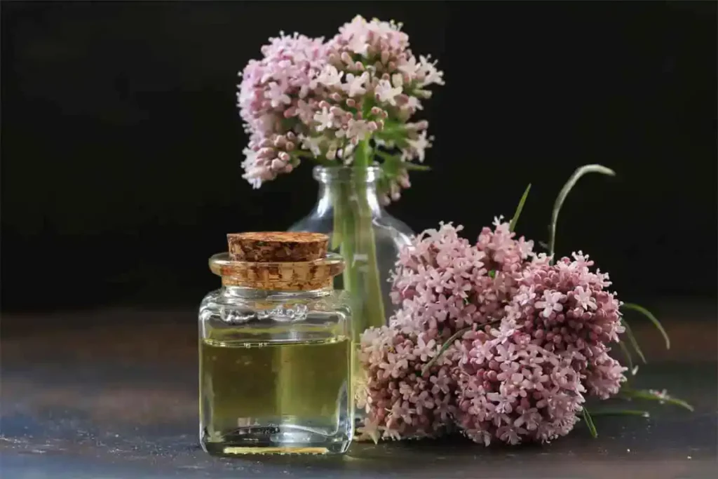Baldrianblüten