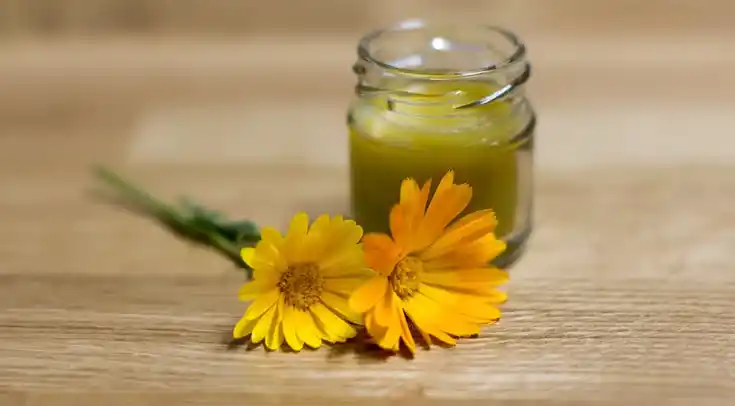 Ringelblumenblüten