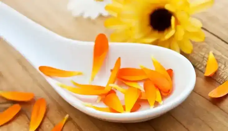 Ringelblumenblüten