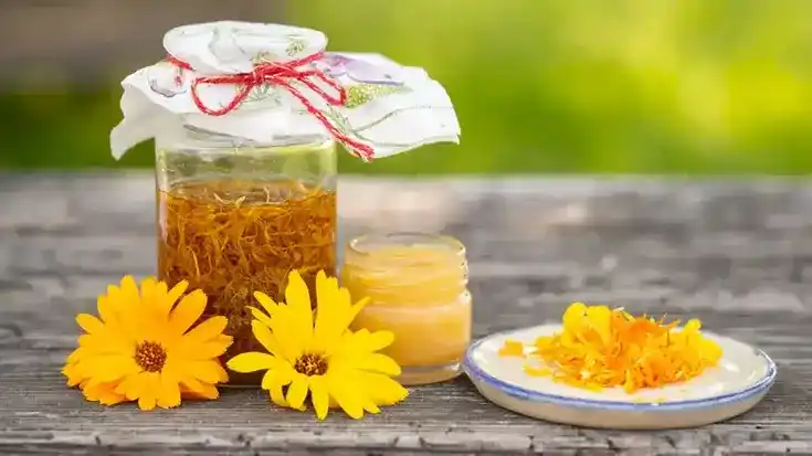 Ringelblume und Salbe